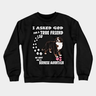 Cattle Dog Berner Sennenhund Bernese Mountain Crewneck Sweatshirt